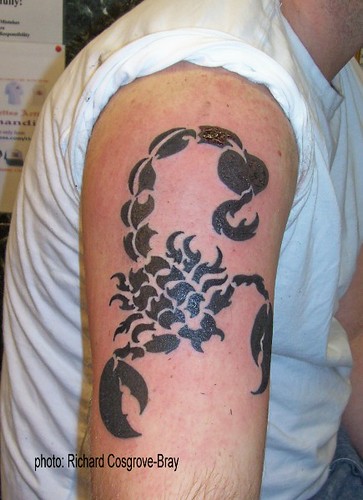 Scorpio Tribal Tattoos Design in Arm
