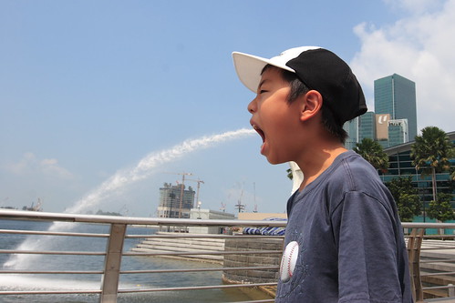 Singapore Merlion spit out water 4