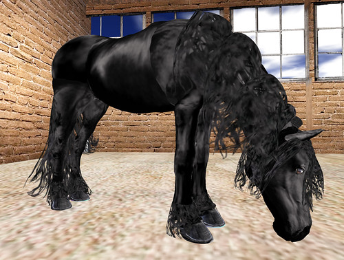 horse-03