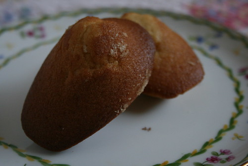 Madeleines of Bay Bread