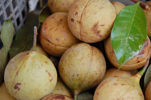 fresh nutmeg fruit