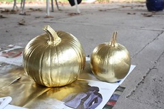 golden pumpkins