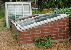 How to Build A Indoor Greenhouse Plans