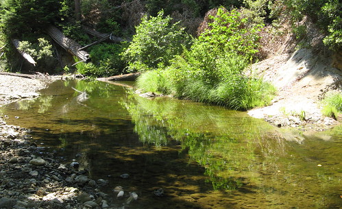Another Pescadero Creek crossing