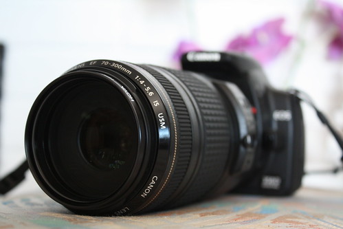 My new lens