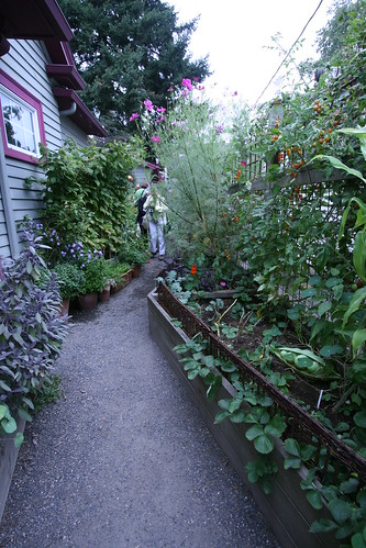 Kitchen garden at Bloomtown garden in Portland