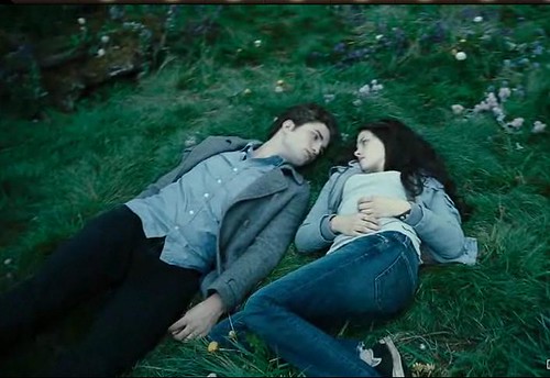 Twilight Movie Screen Shot 9