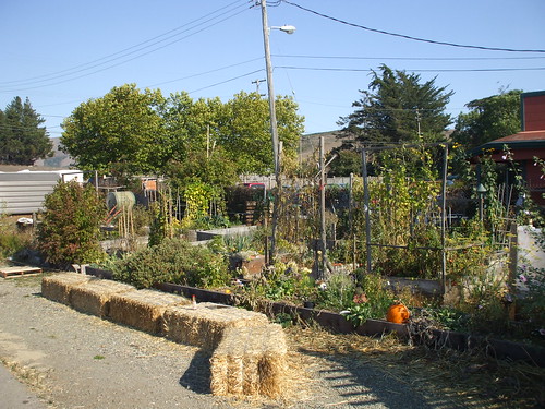 Point Reyes Station community garden