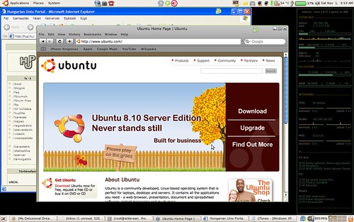 Ubuntu 8.10 "Intrepid Ibex"