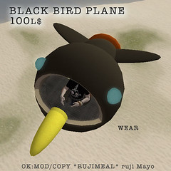 boxblackbirdplane