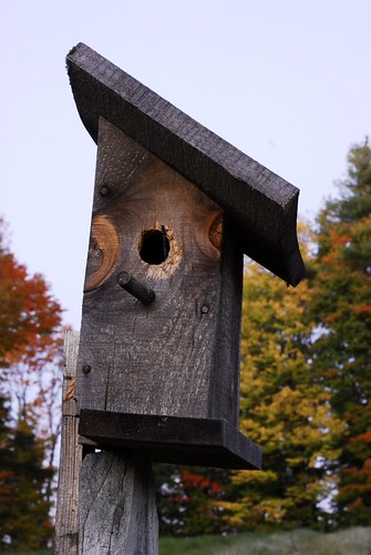 Birdhouse at Tims House