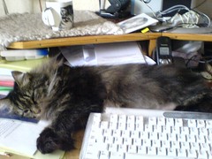 Aliss on my keyboard