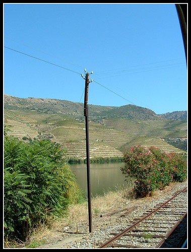 Wallpapers of Douro Valley - Mitra Images :: Image Resources On The Net