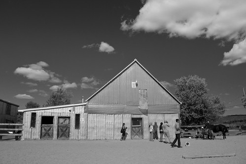The Barn at Punkin Patch Farm