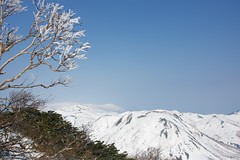 樹氷とイワオヌプリ