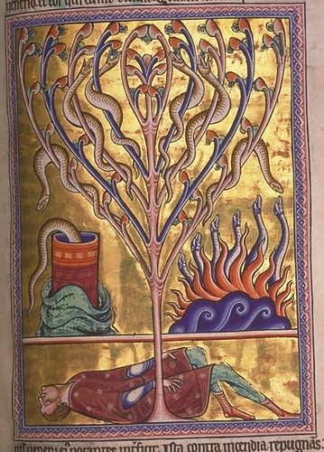 1-Folio 70r- Salamandras -© Aberdeen University Library