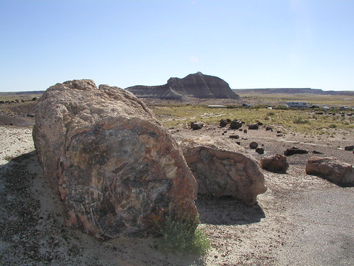 Petrified Forest - Crystal Forest