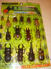 甲蟲玩具