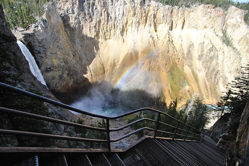 Lower Falls, Uncle Tom's Trail, Yellowstone NP