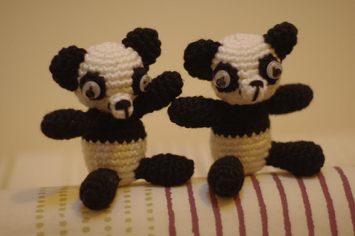 Twin panda bears