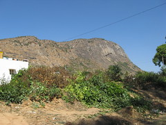 2008-03-01 Nandi Hills 036