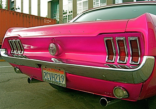 Pink Mustang by karen