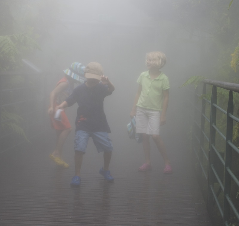 Playing in the Mist