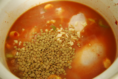 Chicken lentil stew