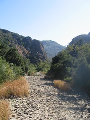 dry creek bed