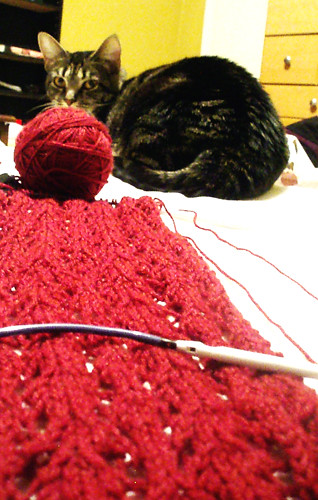 WIP_Cat's Paw Lace