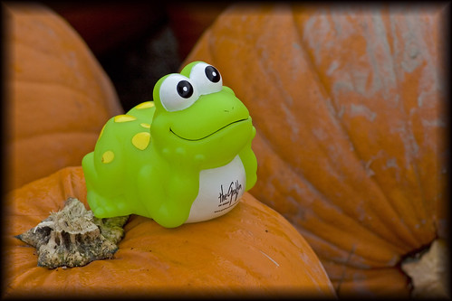 froggy pumpkin shoppin