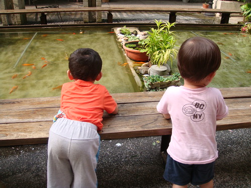 你拍攝的 豐樂公園:餵魚 3。