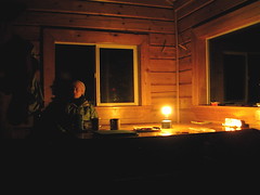 Cabin light
