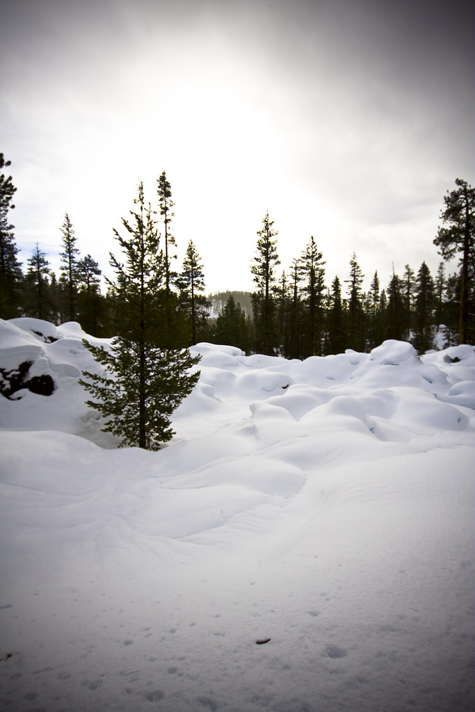 Snowshoeing Scenery