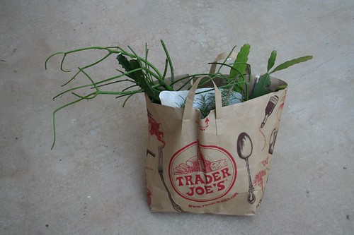 Bag of cuttings