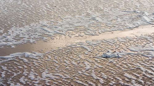 Foam on the beach