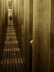 Holocaust Commemoration
