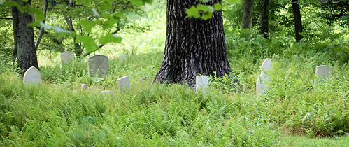 Cemetery Along Pine Creek Trail