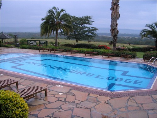 你拍攝的 2 Lake Nakuru Lodge - Swimming Pool。