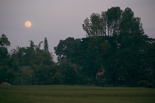 Moonrise in Seletar