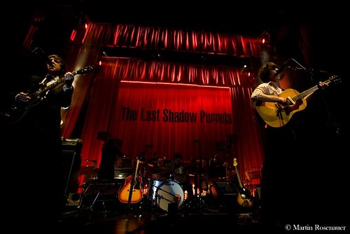 last shadow puppets by martin rosenauer