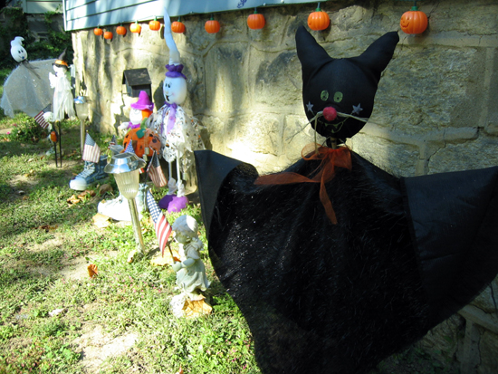 Black Cat (Click to enlarge)