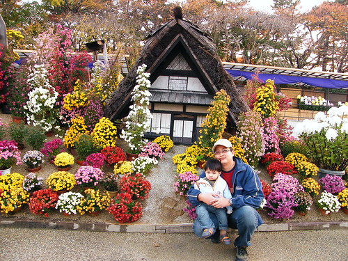 Flowers at nagoya Castle's park