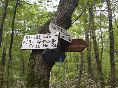 Amalgam of Appalachian Trail Signs