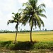 Kerala_Clicks