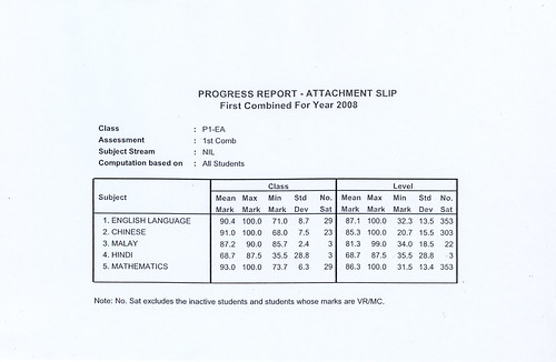 Jiale's first semester 2008 progress report
