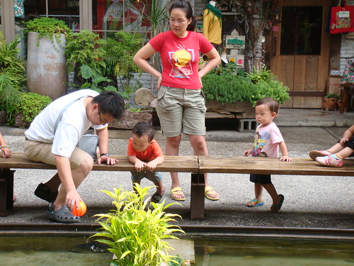 sheenayeh 拍攝的 20081102春水堂旁餵魚。