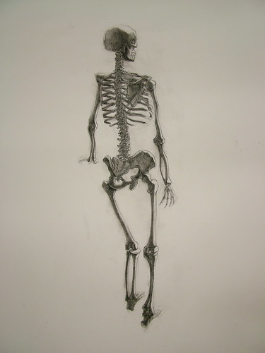 nou chee, skeleton, life drawing two, fall 2008