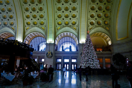 Union Station Tree