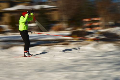 Skijoring Loppet 8792